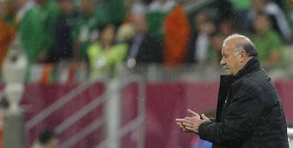 Del Bosque en el partido contra Irlanda.