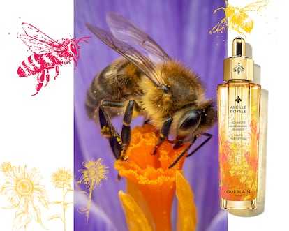 Primer plano de una abeja de Joris Vegter y edición limitada del aceite acuoso Abeille Royale de Guerlain. La firma donará el 20% de las compras que se realicen en tiendas seleccionadas o en su web, entre el 20 y el 22 de mayo, a la protección de las abejas.