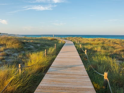 Guía para ir a Formentera sin que te timen