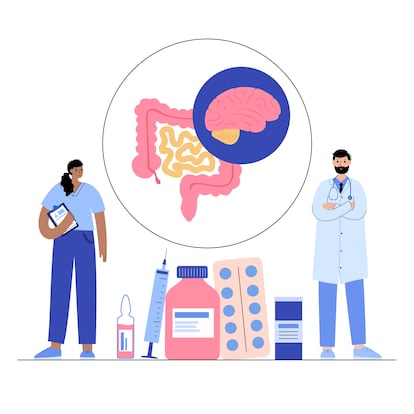 Gut brain connection, human microbiome. Gastroenterology clinic. Enteric nervous system, small and large intestine. Signals from brain to digestive tract. Colon, bowel and cerebrum vector illustration