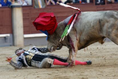 Julio Aparicio, tras ser corneado por <i>Opíparo.</i>