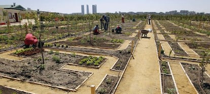 Huertos urbanos en alquiler en La Huerta de Montecarmelo.