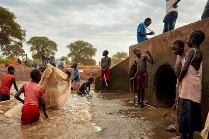 Grandes áreas del este de Sudán del Sur se han visto afectadas por las fuertes lluvias en los últimos meses. Las inundaciones "sin precedentes", según la Agencia para los Refugiados de la ONU (Acnur), en el condado de Maban han afectado a cerca de 200.000 personas, tanto refugiadas como población local. En el país, el número de damnificados asciende a 900.000. En la imagen, desplazados y locales pescan juntos en un arroyo formado por las intensas inundaciones en Maban, a finales de noviembre.