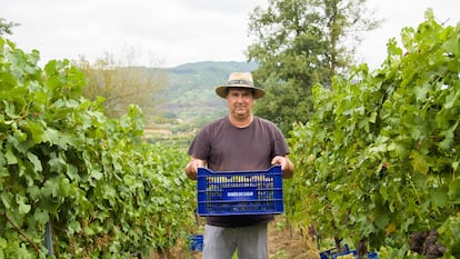 Ramón González Sabucedo, hijo de Ramón. La empresa aplica en todos sus procesos los principios de la economía circular y la sostenibilidad. Los raspones que quedan tras desprender las uvas del racimo son tratados y reutilizados como abono en el viñedo.