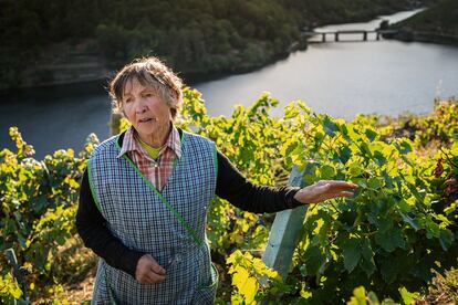 Esther Teixeiro en sus viñas de Pincelo (Lugo) colgadas sobre el Miño. Tiene 77 años y fue la primera viticultora ecológica de Galicia.