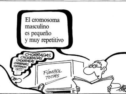 Forges