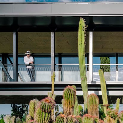 Desert City cuenta con un vivero en el que se cultivan y  venden cactus y otras plantas xerofíticas y todo lo necesario para cuidarlos.