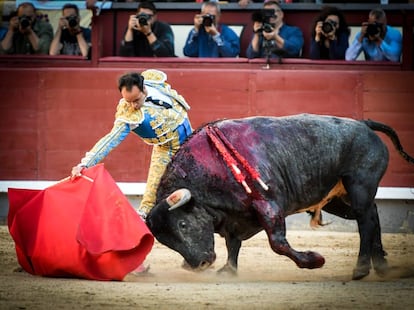 'Carasucia', de Valdellán, uno de los toros más bravos de la temporada, lidiado en Madrid el pasado 11 de junio.