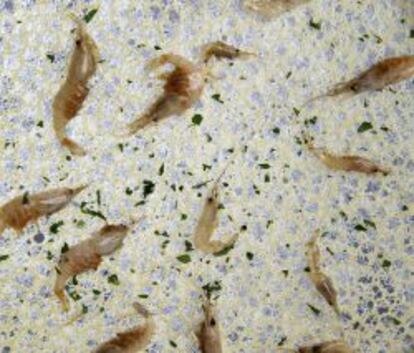 Tortillitas de camarones.