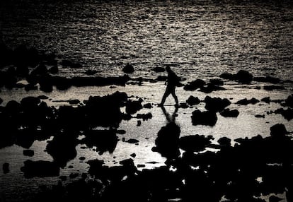 Un hombre busca crustáceos en las rocas de la playa de Ondarreta, en San Sebastián.