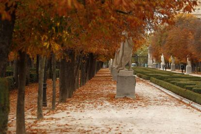 Madrid’s El Retiro park.