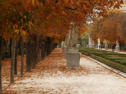 Madrid’s El Retiro park.