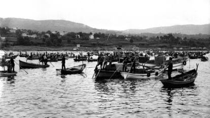 Mariscadores en la playa de Cesantes en la localidad de Redondela, tras el levantamiento de la veda de la almeja, berberecho y ostra.