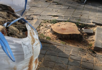 Tala de árboles en los Jardines de Jimena Quirós en Madrid, por las obras de ampliación de la línea 11 de Metro.  