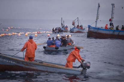 Los pescadores van tomando su posición antes de atraer los atunes a la almadraba.
