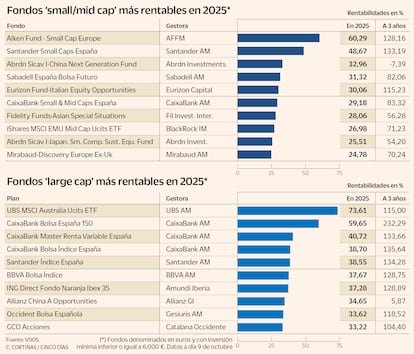 Fondos small/mid cap y large cap más rentables