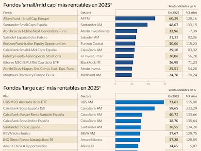 Diez fondos, españoles e internacionales, que han sabido aprovecharse de los pequeños valores