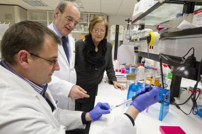 Jes&uacute;s Prieto y Mari &Aacute;ngeles Guillam&oacute;n observan a Antonio Fontanellas en un laboratorio del CIMA de Navarra.