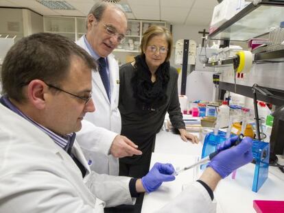 Jes&uacute;s Prieto y Mari &Aacute;ngeles Guillam&oacute;n observan a Antonio Fontanellas en un laboratorio del CIMA de Navarra.