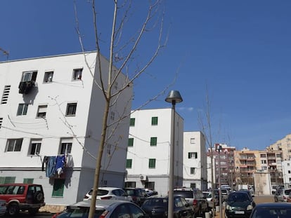 Viviendas en Camp Redó (Palma).