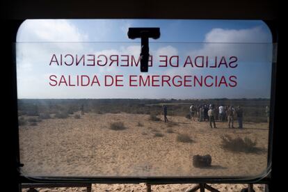 Un grupo de periodistas, junto a la Laguna Dulce de Doñana, el pasado septiembre. En el centro de la imagen, cabizbajo, el director de la Estación Biológica, Eloy Revilla.