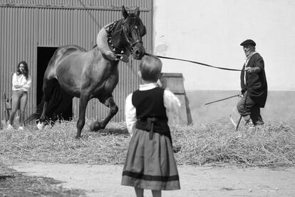 Ejecutando con la ayuda de un caballo la parva, con la que se lograba separar el grano, que se iba quedando al fondo, de la paja.