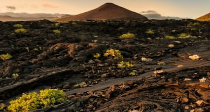 La isla está plagada de coladas de lava reciente.