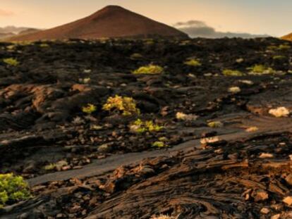 La isla está plagada de coladas de lava reciente.