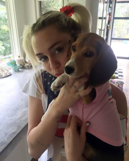 Miley Cyrus y su perro, 'Barbie', vestidos para la ocasión para celebrar el Día de la Independencia de EE UU.