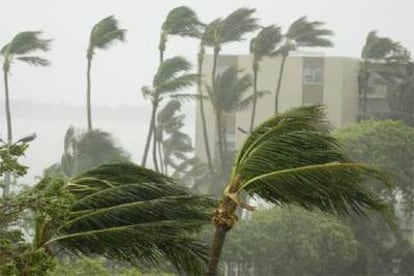 Vientos huracandos azotan las palmeras y hoteles de Islamorada, en Florida.