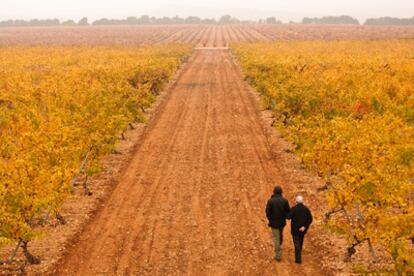 Dos personajes de <i>Gran reserva</i> pasean entre  viñedos riojanos,  en una escena de la serie.