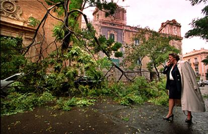 Rita Barberá, ante el árbol cuya caída cortó la circulación en la calle Poeta Querol de Valencia ayer por la mañana.