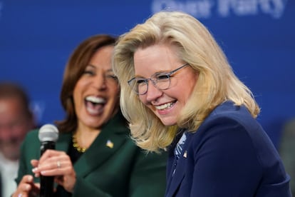 Liz Cheney