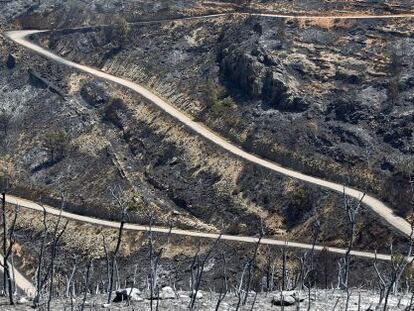 La pista forestal que va desde Teresa (Castell&oacute;n) hasta las poblaciones vecinas de Bej&iacute;s, Viver y J&eacute;rica, tras el incendio.