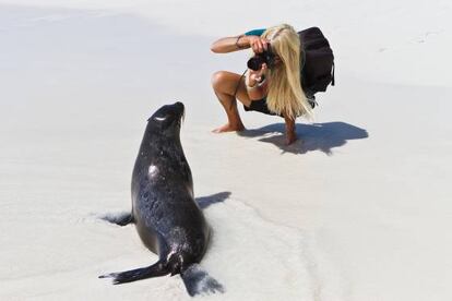 Una turista retrata a un león marino en la isla de Santiago, en Galápagos (Ecuador).