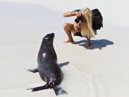 Una turista retrata a un león marino en la isla de Santiago, en Galápagos (Ecuador).