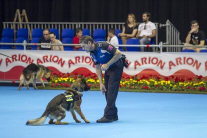 Exhibición de perros policías.