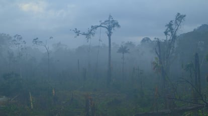 Documental Patrullaje sobre la Reserva Biológica Indio Maíz