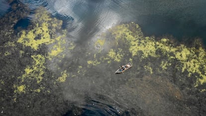 Científicos nacionales e internacionales debaten aún sobre la gravedad de la situación en el lago Atitlán. El Centro de Estudios Atitlán (CEA) lleva a cabo mediciones de manera regular desde hace diez años.