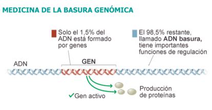 Fuente: Science y elaboración propia.