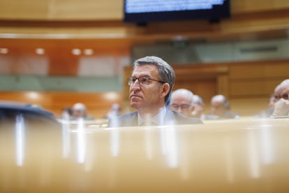 El presidente del PP, Alberto Núñez Feijóo, en el Senado.