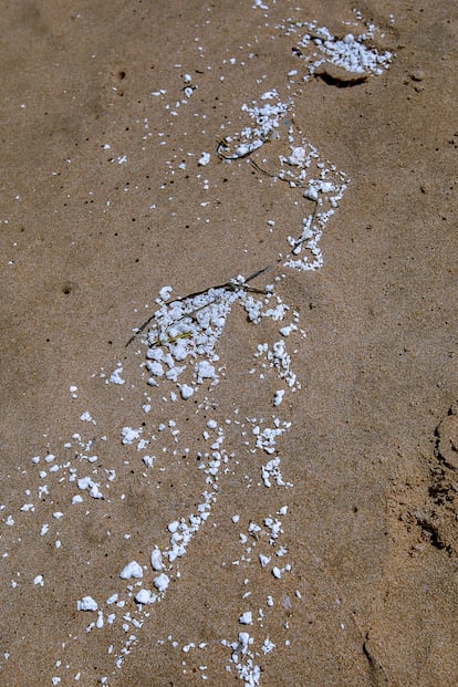 GRAFCVA8029. GUARDAMAR DE LA SAFOR (VALENCIA), 09/06/2025.- Detalle del material blanco aparecido en la playa de Guardamar de la Safor, una de playas del sur de la provincia de Valencia afectadas por un posible vertido marino que se han visto obligadas a cerrar al público este lunes, mientras desde la Conselleria de Medio Ambiente se han recogido muestras que ya se están analizando. EFE/Natxo Francés