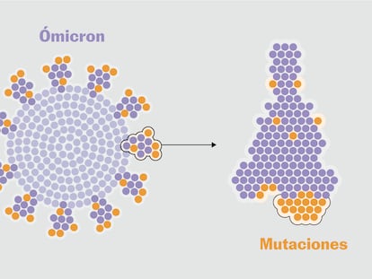 Ómicron: así es el “Frankenstein” del coronavirus que atemoriza al planeta