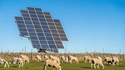 Paneles solares de energía fotovoltaica en el campo español.