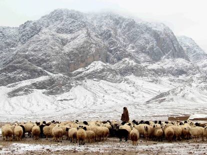 Un pastor con un reba&ntilde;o en las monta&ntilde;as nevadas de Kandahar.