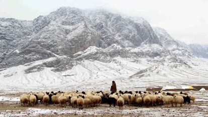 Un pastor con un rebaño en las montañas nevadas de Kandahar.