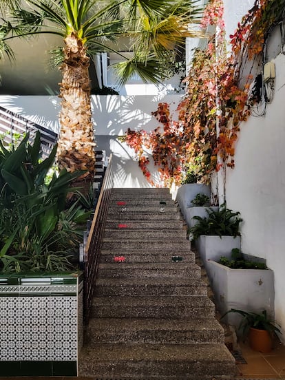 Detalle de las escaleras de las zonas exteriores del colegio.