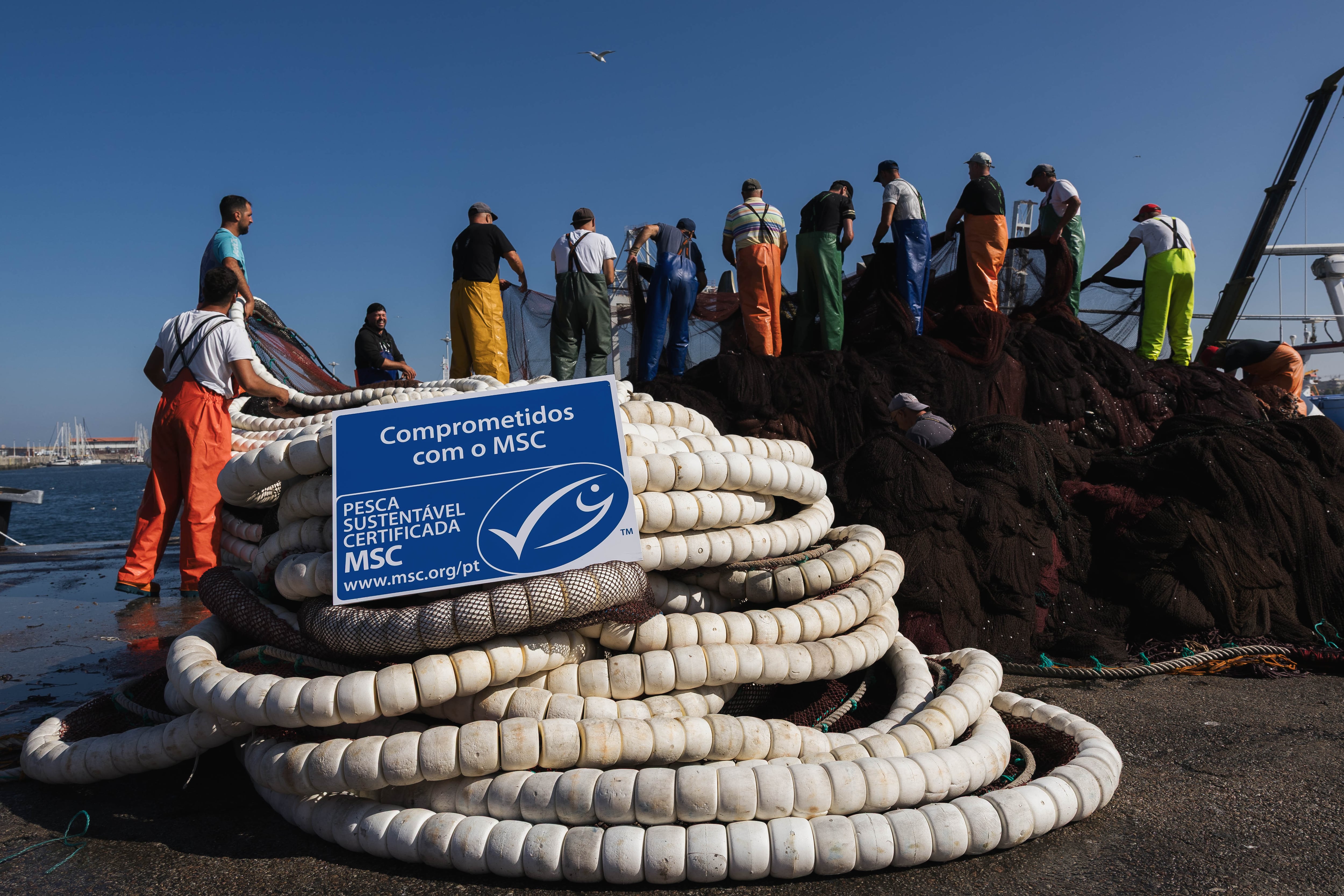 Pescadores de la lonja de Oporto recogen la red de cerco el 15 de julio.