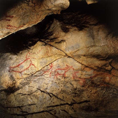 Cueva de Covalanas. Imagen proporcionada por el Gobierno de Cantabria, Consejera de Cultura, Turismo y Deporte. Coleccin Pedro Saura.