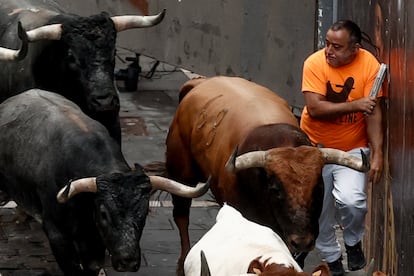 One of the young men is chased by the bulls of the Miura cattle ranch in Seville, this Sunday. 